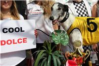 Chrti_dostihy_Greyhound_Company_Cup_Racing_Prague_CGDF_IMG_8287.jpg