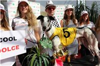 Chrti_dostihy_Greyhound_Company_Cup_Racing_Prague_CGDF_IMG_8288.jpg