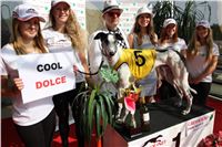 Chrti_dostihy_Greyhound_Company_Cup_Racing_Prague_CGDF_IMG_8289.jpg