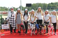 Chrti_dostihy_Greyhound_Company_Cup_Racing_Prague_CGDF_IMG_8313.jpg