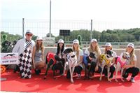 Chrti_dostihy_Greyhound_Company_Cup_Racing_Prague_CGDF_IMG_8315.jpg