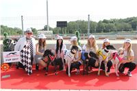 Chrti_dostihy_Greyhound_Company_Cup_Racing_Prague_CGDF_IMG_8316.jpg
