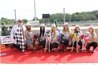 Chrti_dostihy_Greyhound_Company_Cup_Racing_Prague_CGDF_IMG_8317.jpg