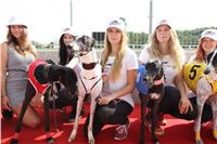 Chrti_dostihy_Greyhound_Company_Cup_Racing_Prague_CGDF_IMG_8319.jpg