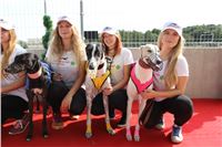 Chrti_dostihy_Greyhound_Company_Cup_Racing_Prague_CGDF_IMG_8321.jpg