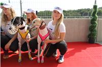 Chrti_dostihy_Greyhound_Company_Cup_Racing_Prague_CGDF_IMG_8322.jpg