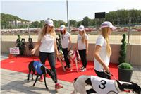 Chrti_dostihy_Greyhound_Company_Cup_Racing_Prague_CGDF_IMG_8330.jpg