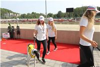 Chrti_dostihy_Greyhound_Company_Cup_Racing_Prague_CGDF_IMG_8331.jpg