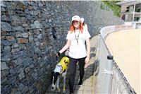 Chrti_dostihy_Greyhound_Company_Cup_Racing_Prague_CGDF_IMG_8340.jpg