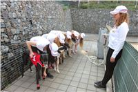 Chrti_dostihy_Greyhound_Company_Cup_Racing_Prague_CGDF_IMG_8352.jpg