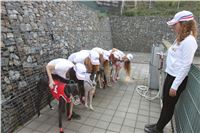 Chrti_dostihy_Greyhound_Company_Cup_Racing_Prague_CGDF_IMG_8353.jpg