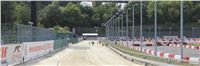 Chrti_dostihy_Greyhound_Company_Cup_Racing_Prague_CGDF_IMG_8361.jpg