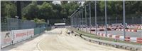 Chrti_dostihy_Greyhound_Company_Cup_Racing_Prague_CGDF_IMG_8363.jpg