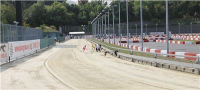 Chrti_dostihy_Greyhound_Company_Cup_Racing_Prague_CGDF_IMG_8364.jpg