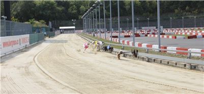 Chrti_dostihy_Greyhound_Company_Cup_Racing_Prague_CGDF_IMG_8365.jpg