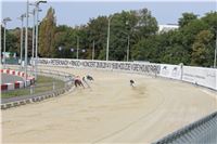 Chrti_dostihy_Greyhound_Company_Cup_Racing_Prague_CGDF_IMG_8373.jpg