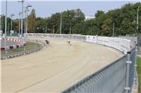 Chrti_dostihy_Greyhound_Company_Cup_Racing_Prague_CGDF_IMG_8374.jpg