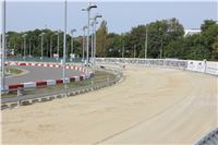 Chrti_dostihy_Greyhound_Company_Cup_Racing_Prague_CGDF_IMG_8377.jpg