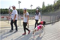 Chrti_dostihy_Greyhound_Company_Cup_Racing_Prague_CGDF_IMG_8385.jpg