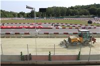 Chrti_dostihy_Greyhound_Company_Cup_Racing_Prague_CGDF_IMG_8388.jpg