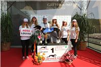 Chrti_dostihy_Greyhound_Company_Cup_Racing_Prague_CGDF_IMG_8393.jpg