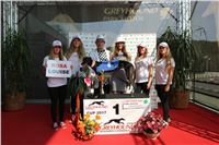 Chrti_dostihy_Greyhound_Company_Cup_Racing_Prague_CGDF_IMG_8394.jpg