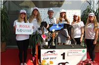 Chrti_dostihy_Greyhound_Company_Cup_Racing_Prague_CGDF_IMG_8398.jpg