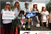 Chrti_dostihy_Greyhound_Company_Cup_Racing_Prague_CGDF_IMG_8399.jpg