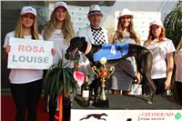 Chrti_dostihy_Greyhound_Company_Cup_Racing_Prague_CGDF_IMG_8399.jpg