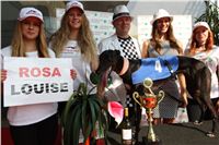 Chrti_dostihy_Greyhound_Company_Cup_Racing_Prague_CGDF_IMG_8401.jpg