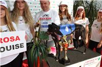 Chrti_dostihy_Greyhound_Company_Cup_Racing_Prague_CGDF_IMG_8411.jpg