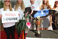 Chrti_dostihy_Greyhound_Company_Cup_Racing_Prague_CGDF_IMG_8415.jpg