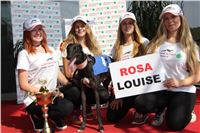 Chrti_dostihy_Greyhound_Company_Cup_Racing_Prague_CGDF_IMG_8418.jpg