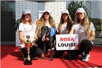 Chrti_dostihy_Greyhound_Company_Cup_Racing_Prague_CGDF_IMG_8422.jpg