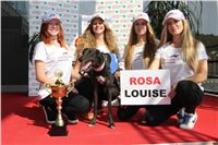 Chrti_dostihy_Greyhound_Company_Cup_Racing_Prague_CGDF_IMG_8424.jpg