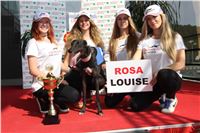 Chrti_dostihy_Greyhound_Company_Cup_Racing_Prague_CGDF_IMG_8425.jpg