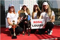 Chrti_dostihy_Greyhound_Company_Cup_Racing_Prague_CGDF_IMG_8426.jpg