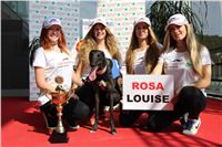 Chrti_dostihy_Greyhound_Company_Cup_Racing_Prague_CGDF_IMG_8427.jpg