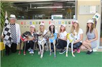 Chrti_dostihy_Greyhound_Company_Cup_Racing_Prague_CGDF_IMG_8432.jpg