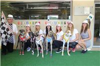 Chrti_dostihy_Greyhound_Company_Cup_Racing_Prague_CGDF_IMG_8434.jpg