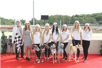 Chrti_dostihy_Greyhound_Company_Cup_Racing_Prague_CGDF_IMG_8439.jpg