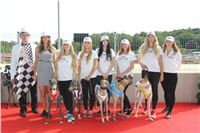 Chrti_dostihy_Greyhound_Company_Cup_Racing_Prague_CGDF_IMG_8440.jpg