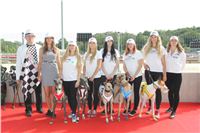 Chrti_dostihy_Greyhound_Company_Cup_Racing_Prague_CGDF_IMG_8441.jpg