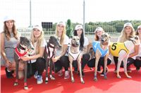 Chrti_dostihy_Greyhound_Company_Cup_Racing_Prague_CGDF_IMG_8444.jpg