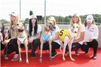 Chrti_dostihy_Greyhound_Company_Cup_Racing_Prague_CGDF_IMG_8445.jpg