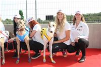 Chrti_dostihy_Greyhound_Company_Cup_Racing_Prague_CGDF_IMG_8446.jpg