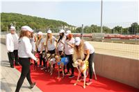 Chrti_dostihy_Greyhound_Company_Cup_Racing_Prague_CGDF_IMG_8447.jpg