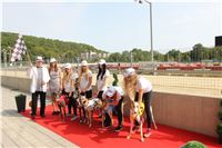 Chrti_dostihy_Greyhound_Company_Cup_Racing_Prague_CGDF_IMG_8448.jpg