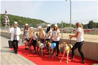 Chrti_dostihy_Greyhound_Company_Cup_Racing_Prague_CGDF_IMG_8449.jpg