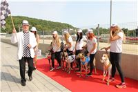 Chrti_dostihy_Greyhound_Company_Cup_Racing_Prague_CGDF_IMG_8450.jpg